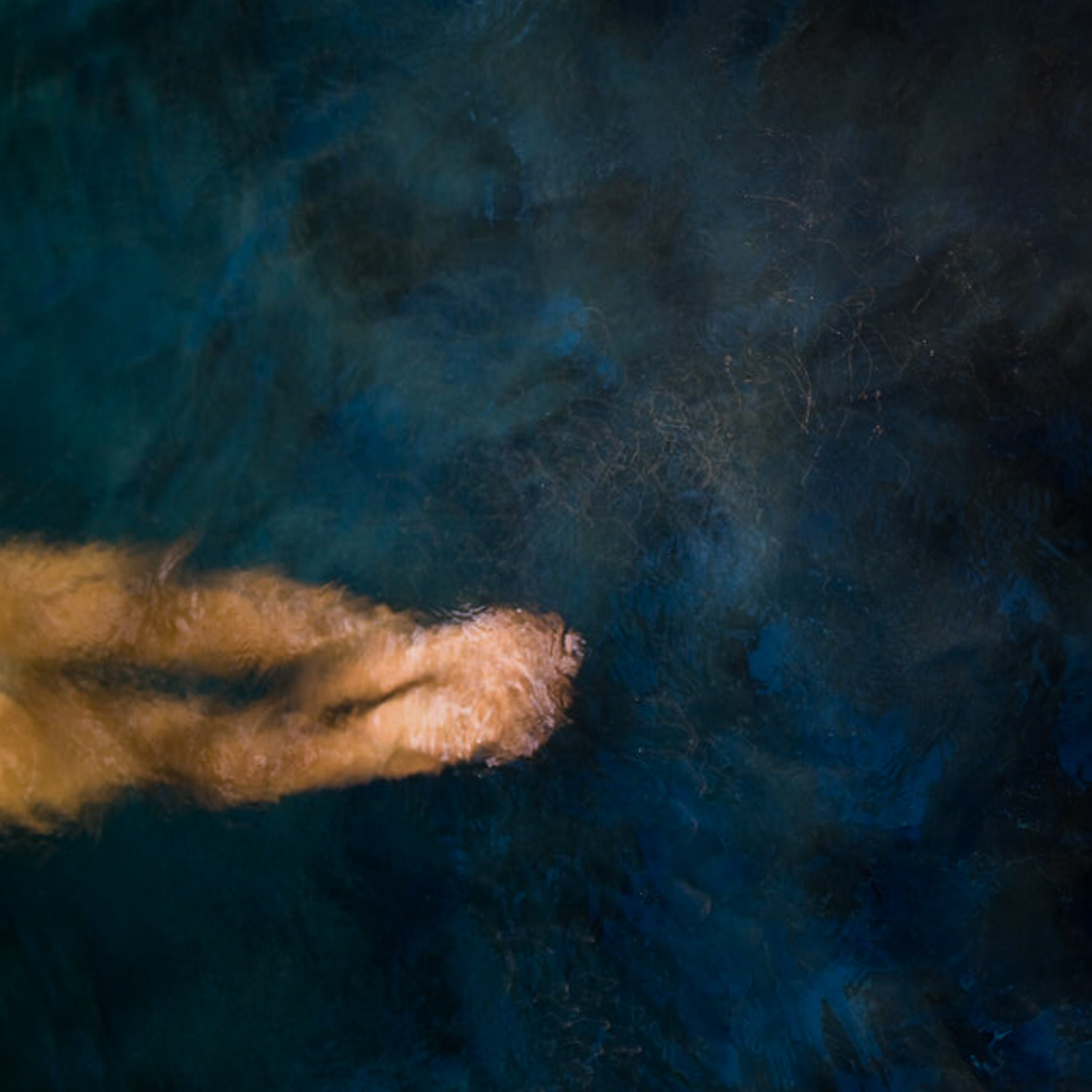 Family portrait photography by Katie McCullough Simmons