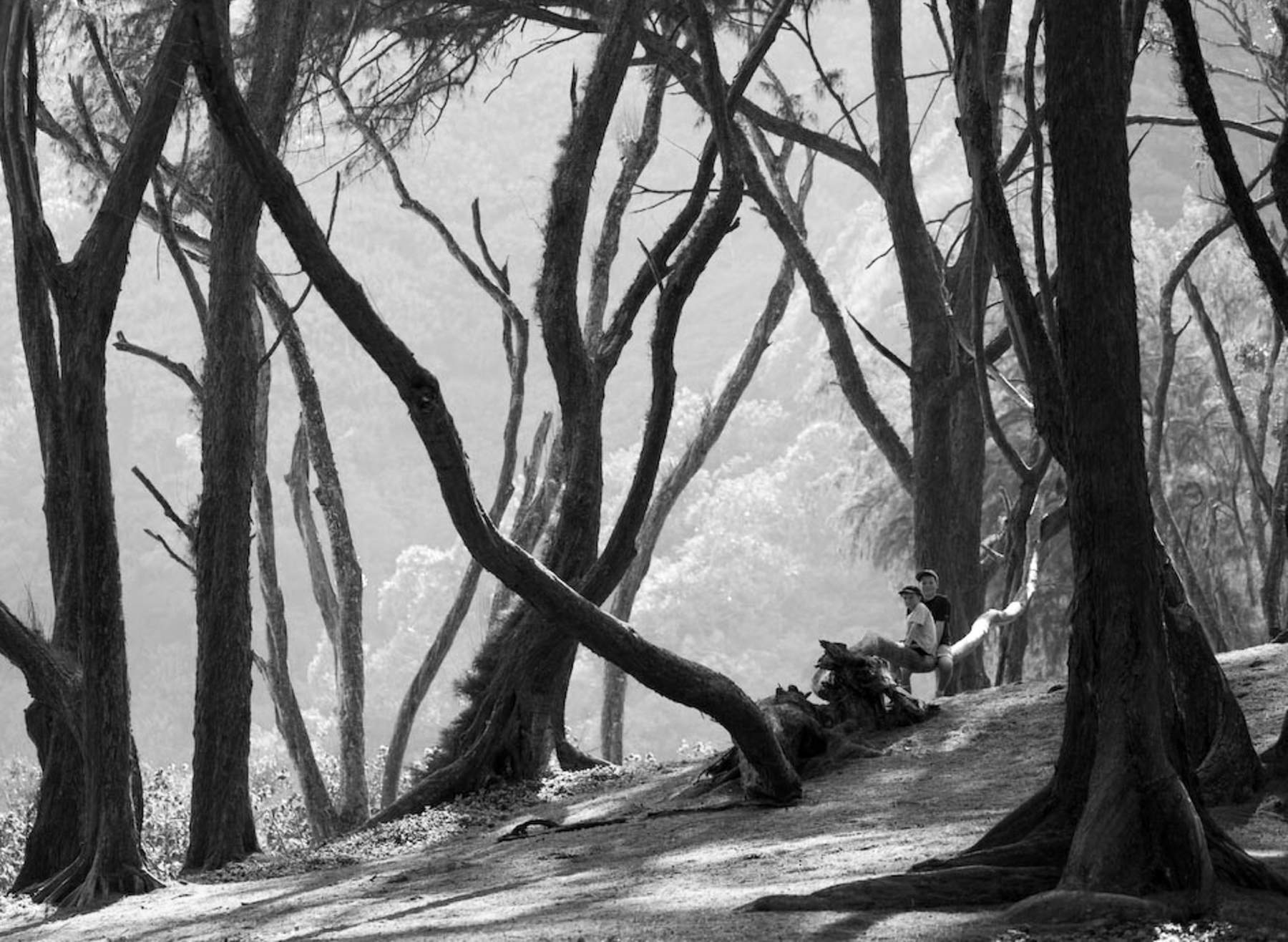 Family portrait photography by Katie McCullough Simmons