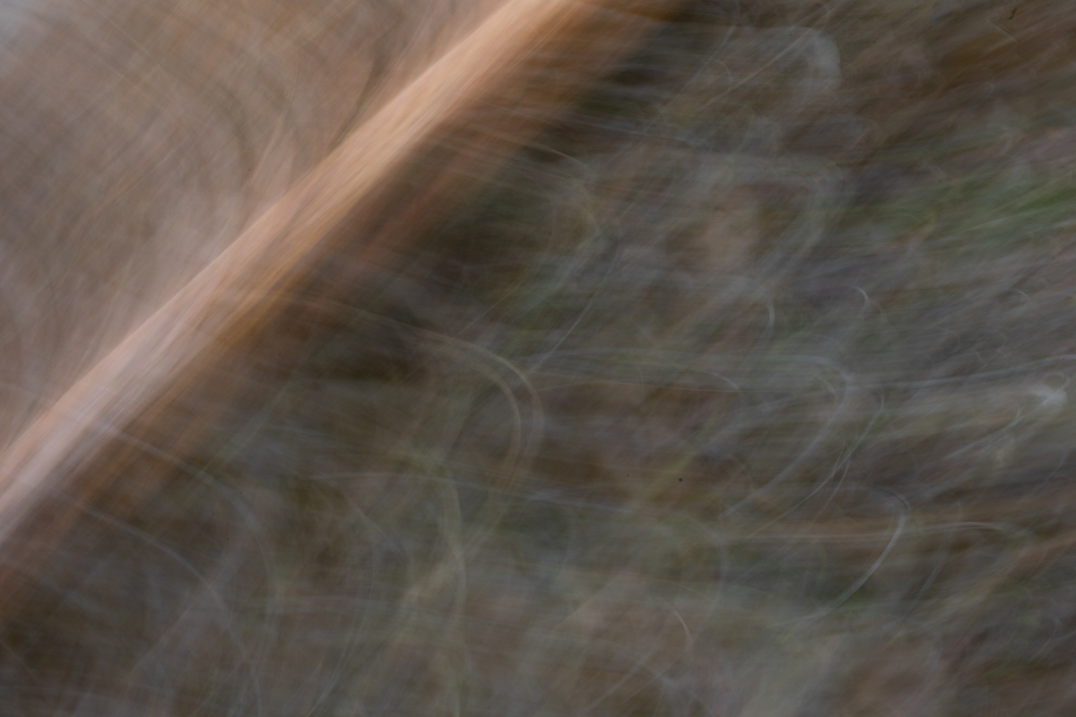 Abstract fine art photography 3 by Katie McCullough Simmons