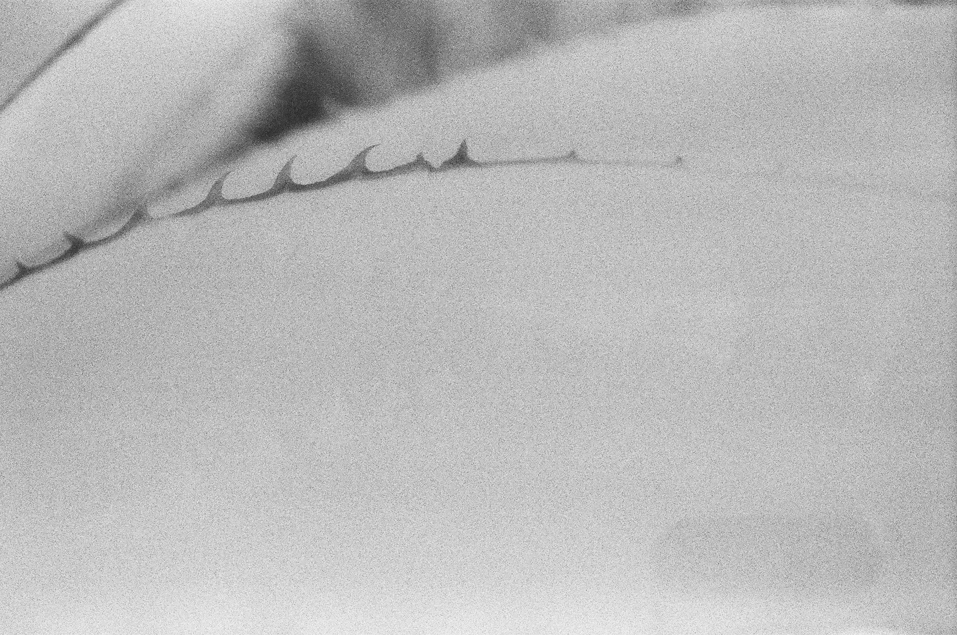 Abstract fine art photography 11 by Katie McCullough Simmons