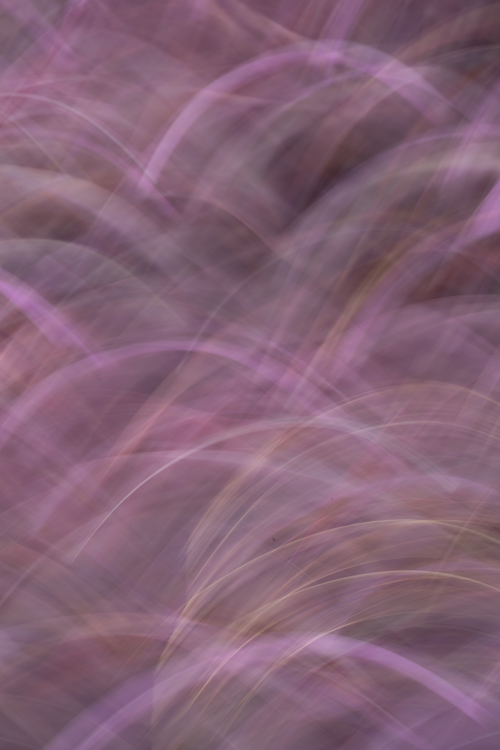 Ocean waves and coastal landscape in Hawaii