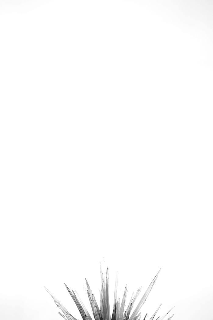 Abstract fine art photography 14 by Katie McCullough Simmons