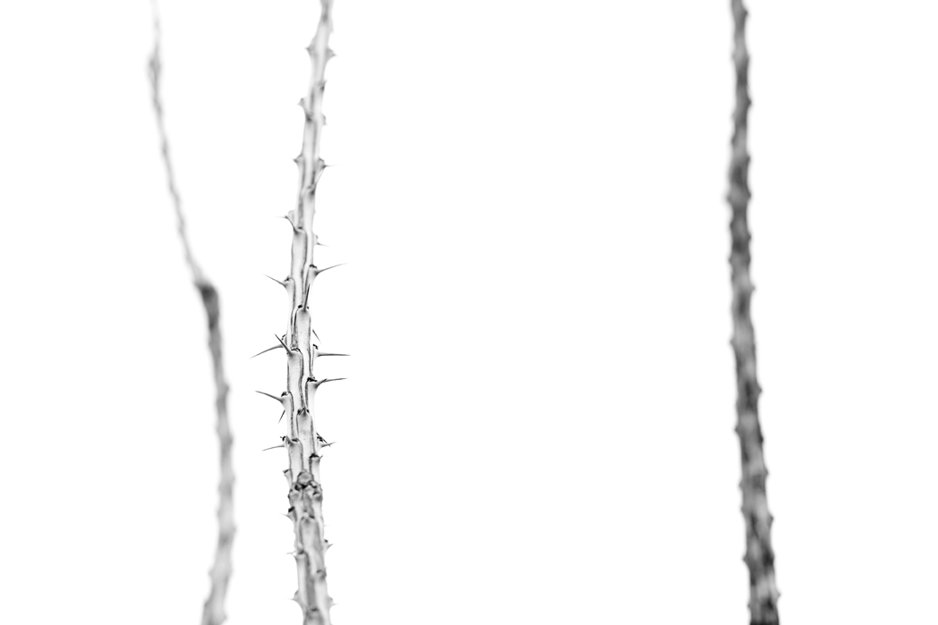 Abstract fine art photography 15 by Katie McCullough Simmons