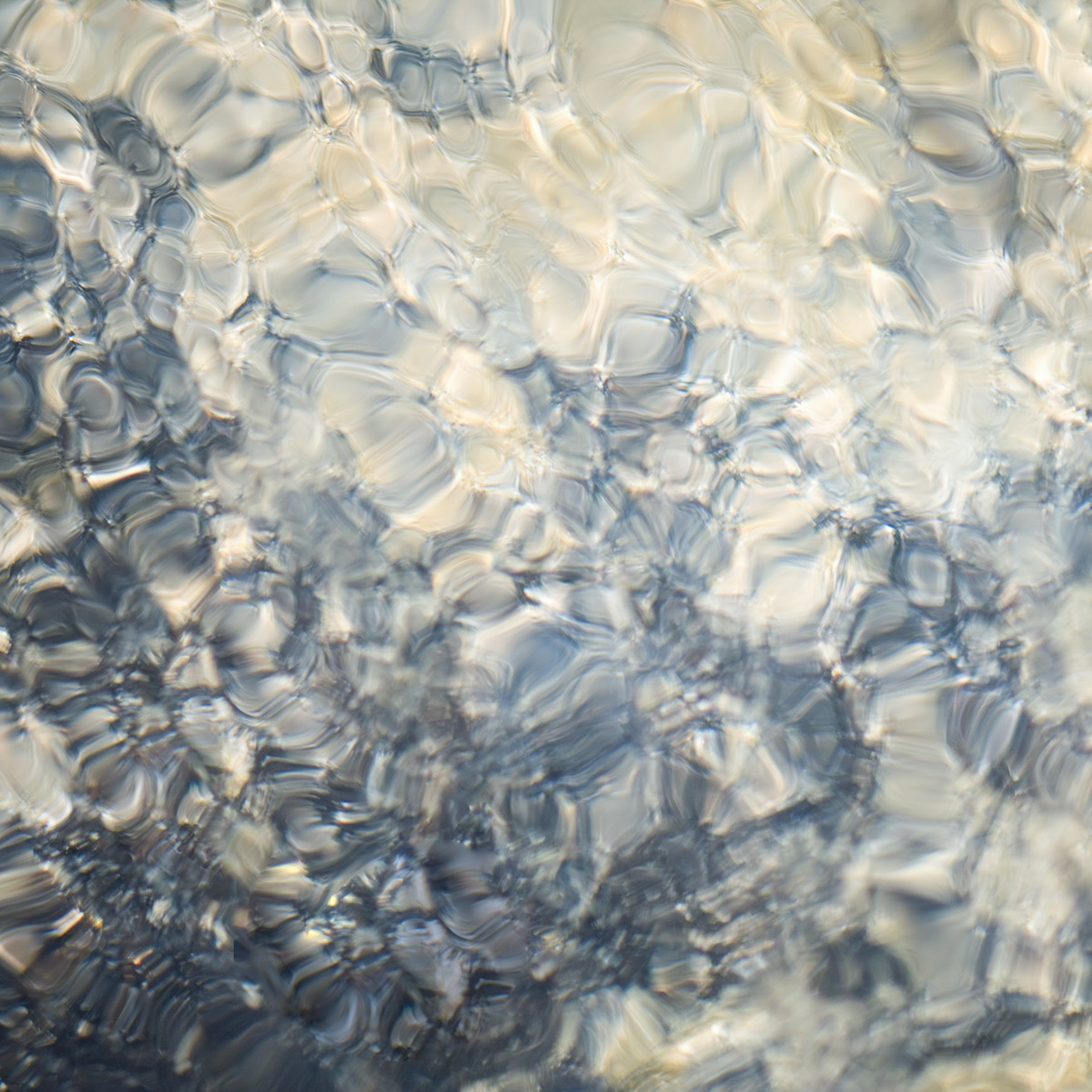 Fine art portrait and environmental photography