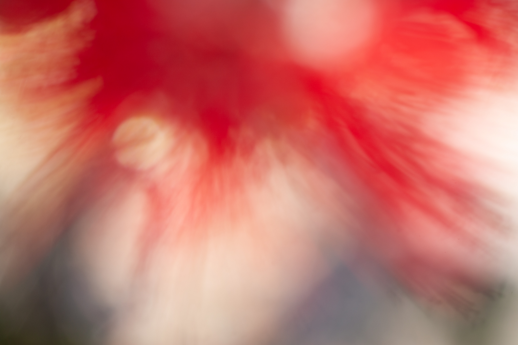 Abstract fine art photography 23 by Katie McCullough Simmons