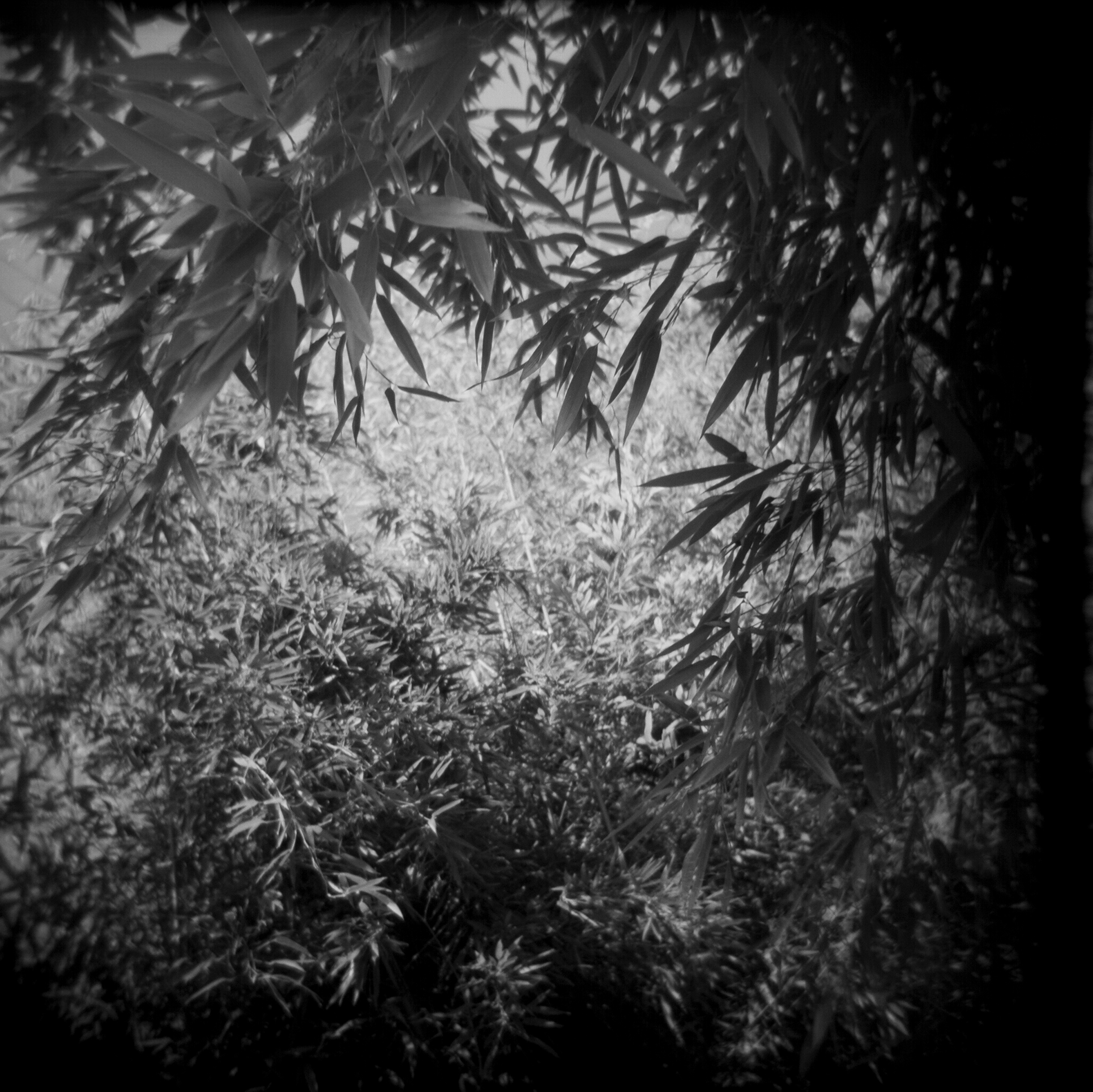 Abstract fine art photography 41 by Katie McCullough Simmons