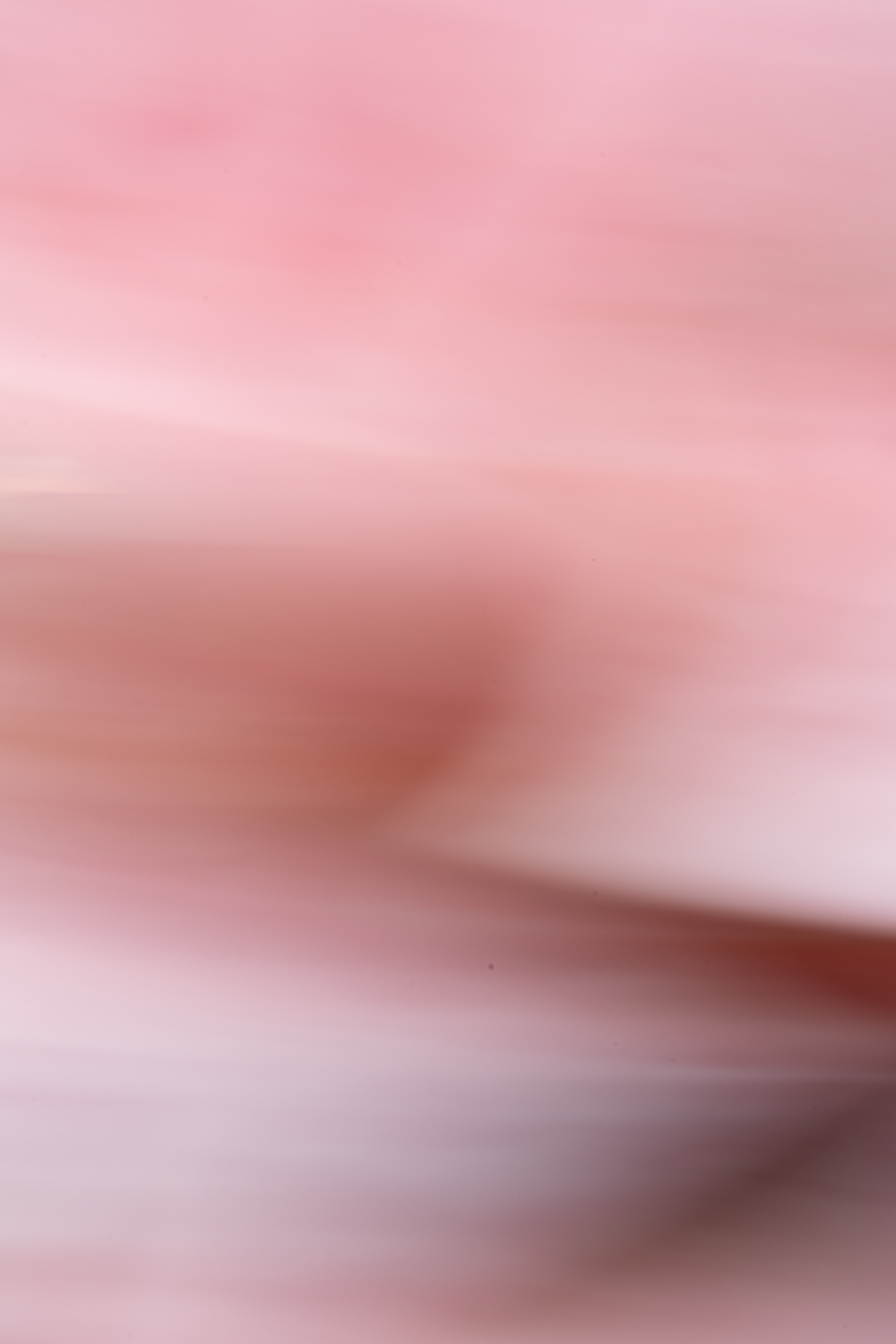 Abstract fine art photography 42 by Katie McCullough Simmons