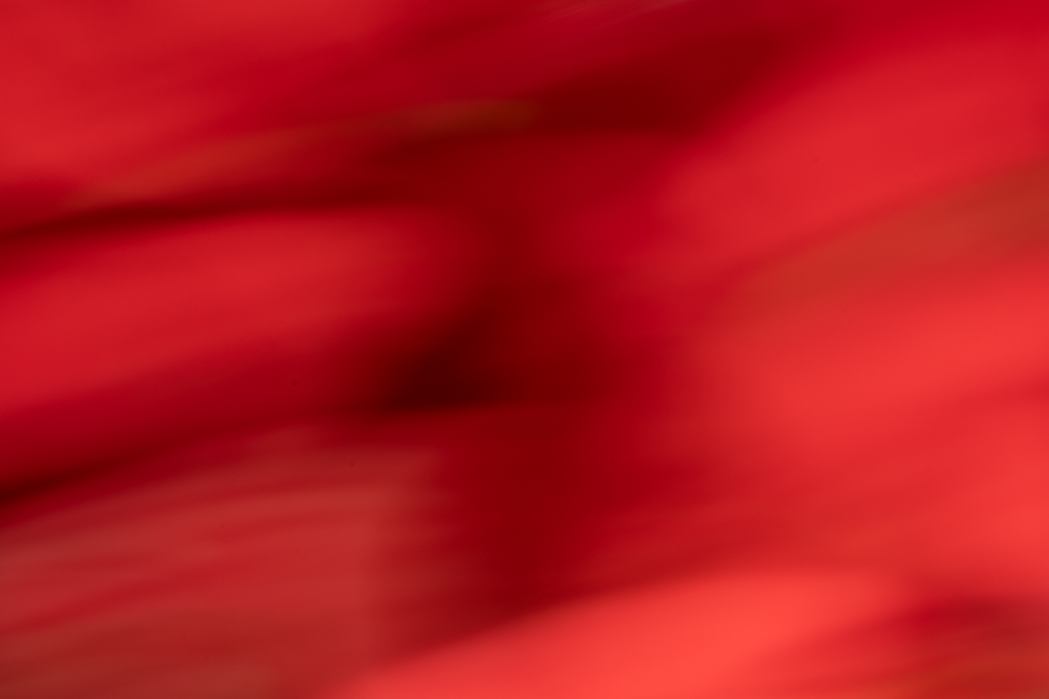 Abstract fine art photography 43 by Katie McCullough Simmons