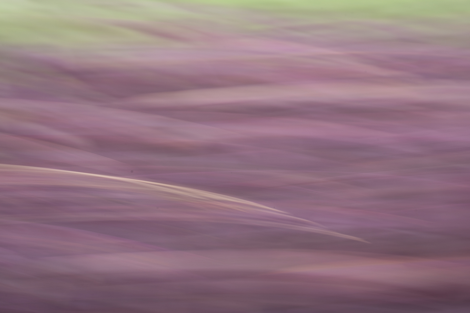 Abstract fine art photography 45 by Katie McCullough Simmons