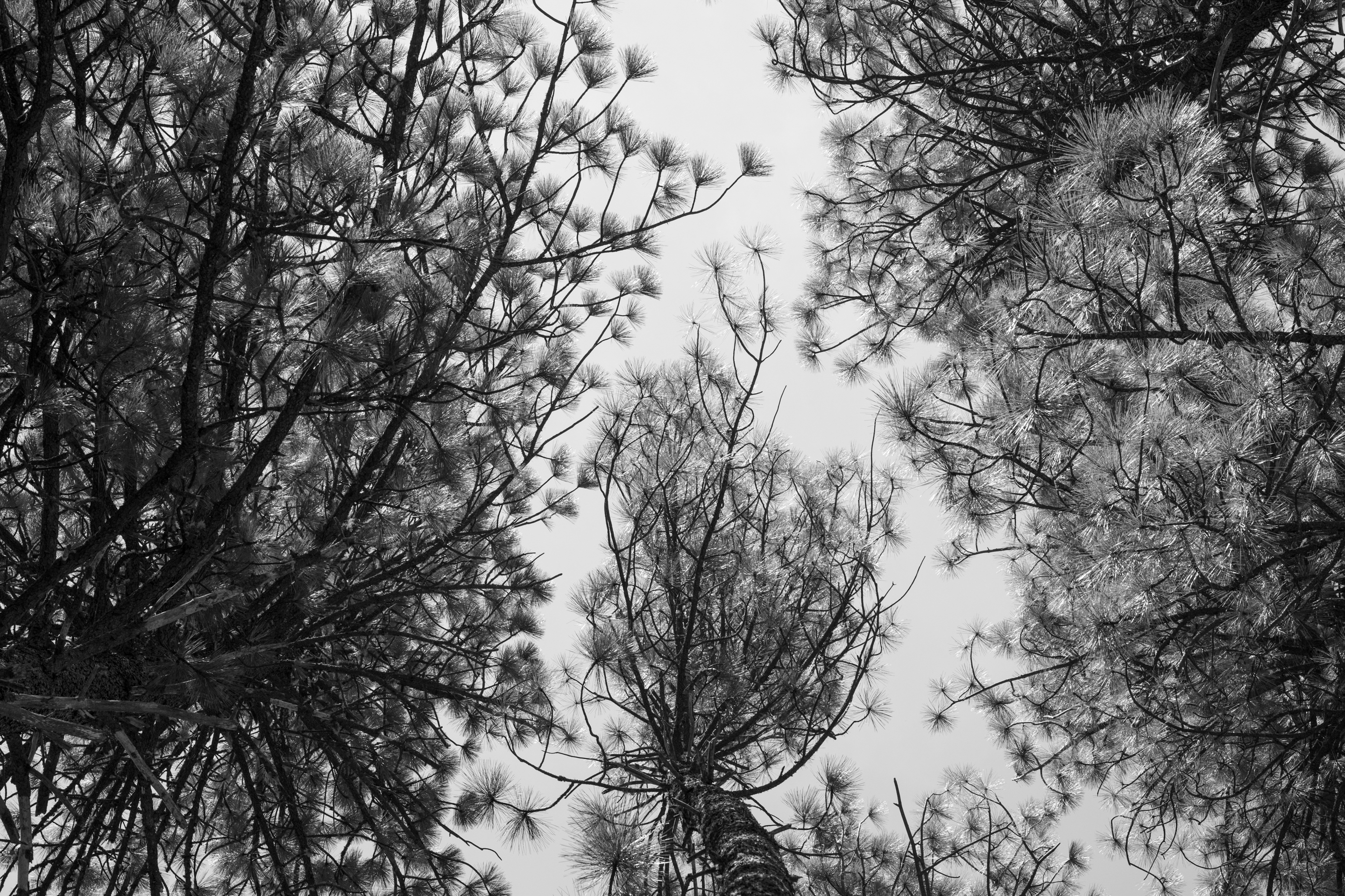 Abstract fine art photography 30 by Katie McCullough Simmons