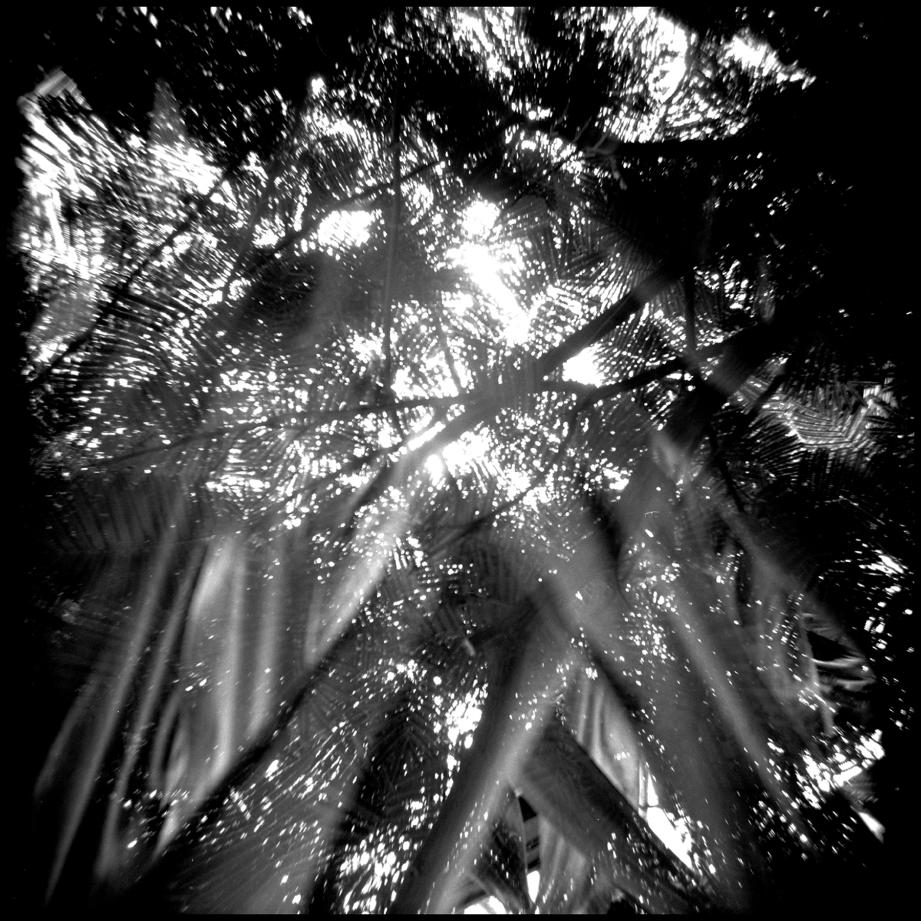 Abstract fine art photography 31 by Katie McCullough Simmons