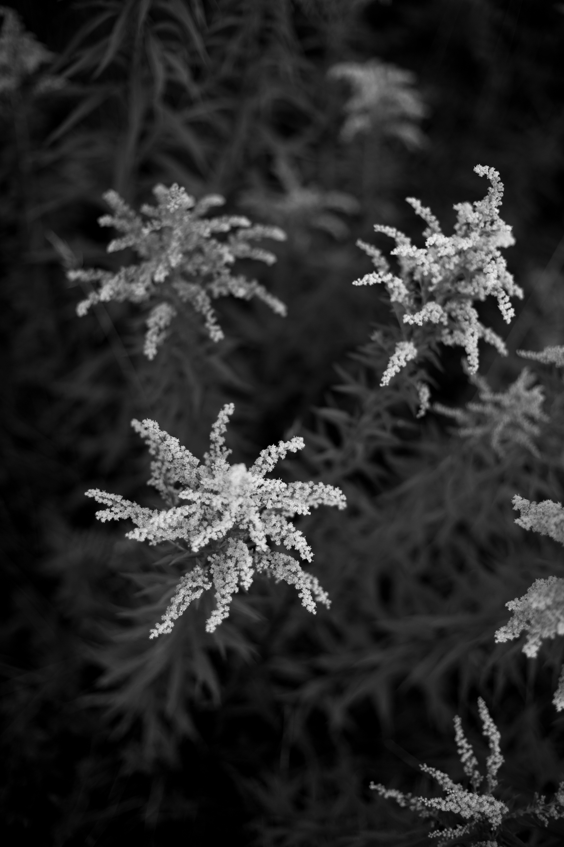 Abstract fine art photography 33 by Katie McCullough Simmons